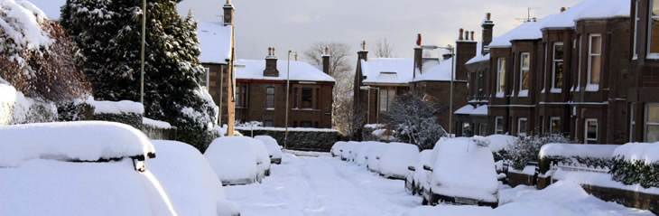 snowy